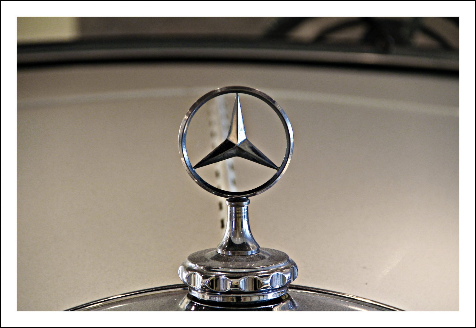 Mercedes Stern